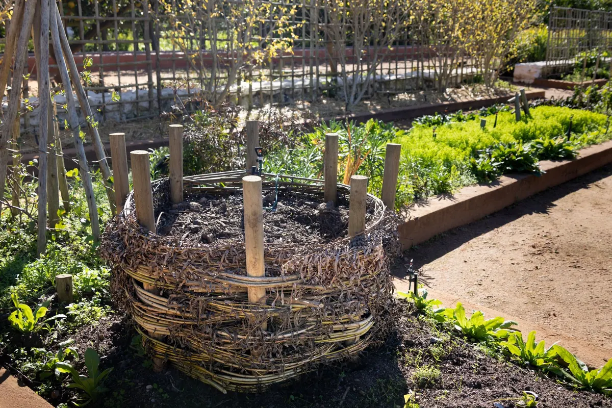 Troubleshooting a Smelly Compost Bin: 5 Common Causes and Fixes